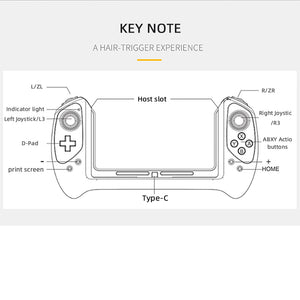 iPega PG-9163A Nintend Switch Game Controller Gamepad for Nintendo Switch joystick Plug &amp; Play Game pad Handle for N-Switch